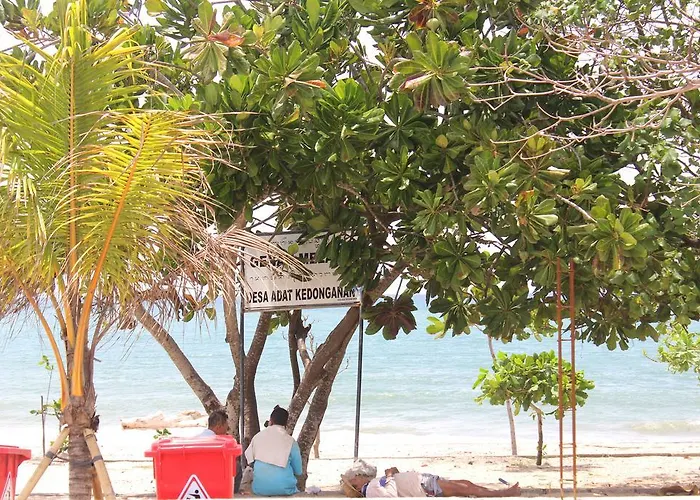 Kubu Turah